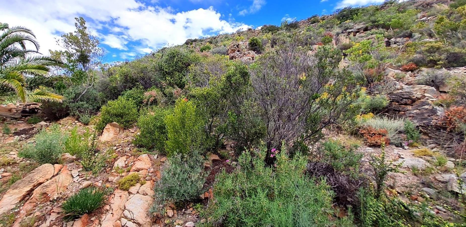 Montagu Little Sanctuary - Hot Spring Access At Reduced Priceアパートメント 部屋 写真